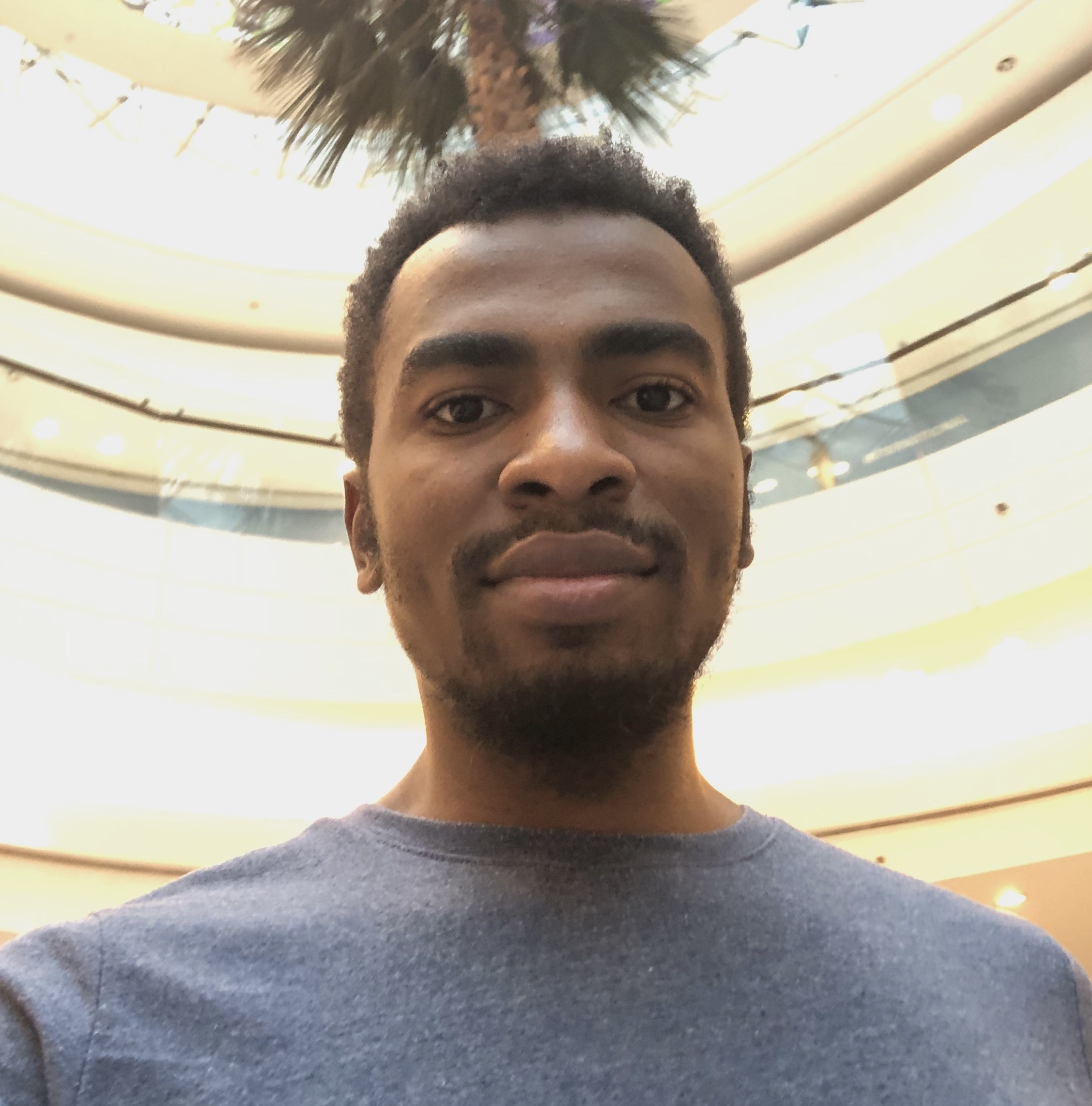 OMAR ABDOU - Software Engineer